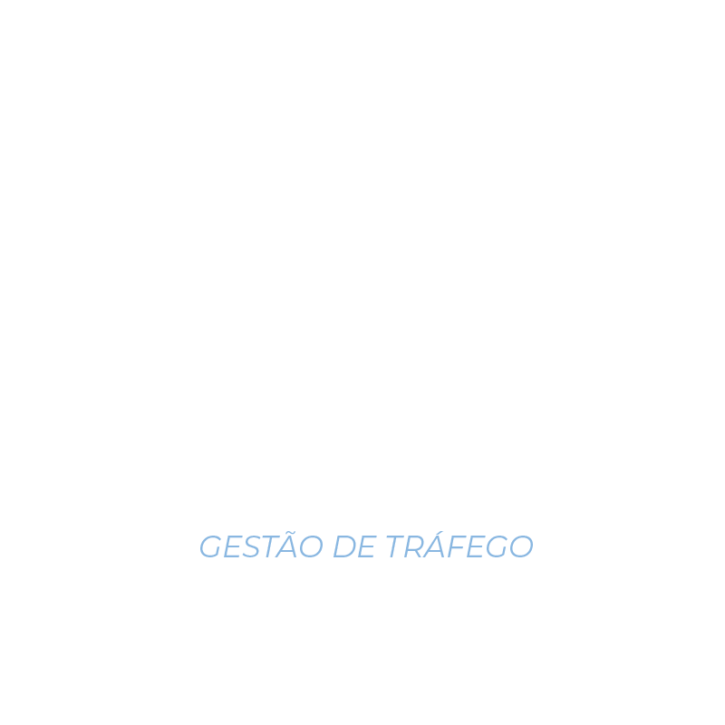 Brenda Camargo - Gestão de Tráfego
